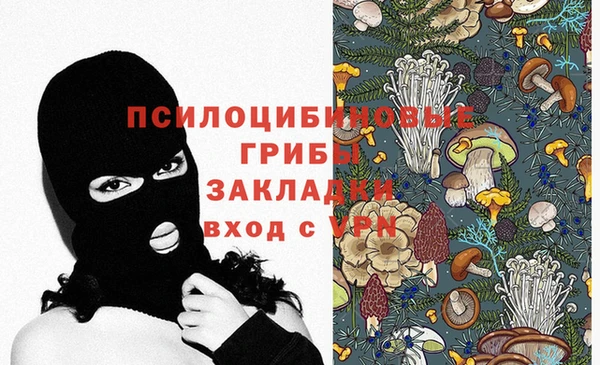 ГАЛЛЮЦИНОГЕННЫЕ ГРИБЫ Арсеньев