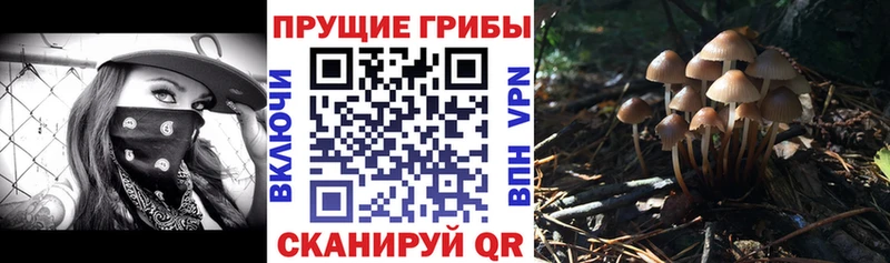 Псилоцибиновые грибы мухоморы  Шарья 